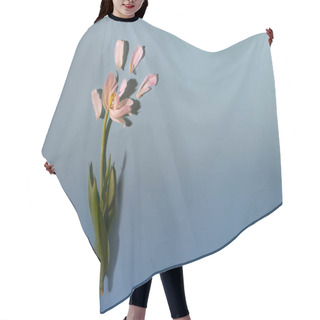 Personality  Cerative Backdrop With White Tulip With Seapreted Petals On Blue Background With Gradient And Copy Space Hair Cutting Cape
