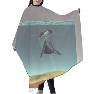 Personality  Humpback Whale In A Water Block And Sandy Seabed 3d Illustration Render Hair Cutting Cape