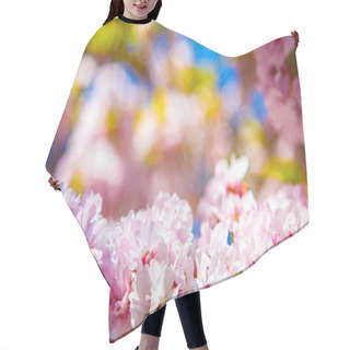 Personality  Selective Focus Of Beautiful Cherry Tree Blossom Backdrop Hair Cutting Cape