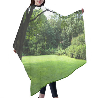Personality  Lawn In A Botanical Garden Hair Cutting Cape