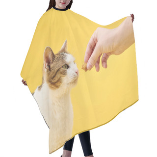 Personality  A Discerning Cat Skeptically Eyes A Treat Offered By A Human Hand. The Feline Mixed Expressions Contrast With The Bright Yellow Background Hair Cutting Cape