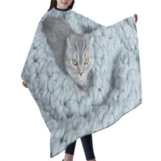 Personality  Cat On Wool Blanket Hair Cutting Cape