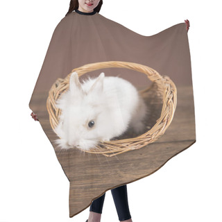 Personality  Easter Rabbits In A Wilkin Basket Hair Cutting Cape