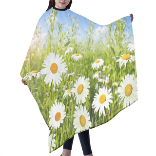 Personality  Wildflowers Daisies Hair Cutting Cape