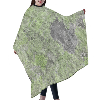 Personality  Green Moss On The Stone Background. Nature Hair Cutting Cape