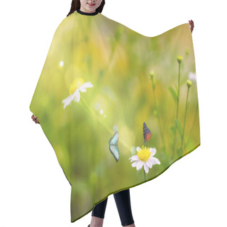 Personality  Grass Flower  Blowing In The Wind In The Morning With Golden Sunshine With  Two Butterflies Hair Cutting Cape
