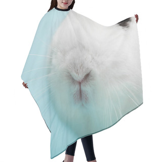 Personality  Closeup Of Cute White Rabbit With Funny Nose On Blue Background Hair Cutting Cape