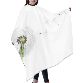 Personality  Dandelion With Blowing Petals Hair Cutting Cape