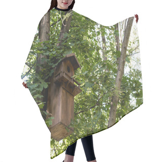 Personality  Wooden Bird Feeder On Tree In Green Peaceful Park  Hair Cutting Cape