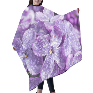Personality  Lilac. Hair Cutting Cape