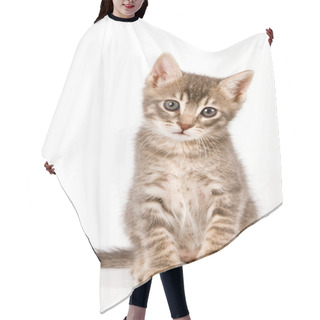 Personality  Kitten Hair Cutting Cape