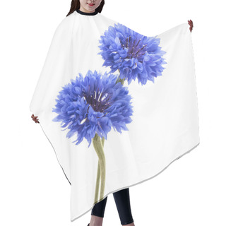 Personality  Blue Cornflowers Heads Hair Cutting Cape