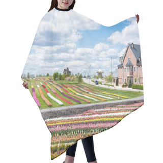 Personality  House Near Colorful Tulips Field With Blue Sky And Clouds Hair Cutting Cape