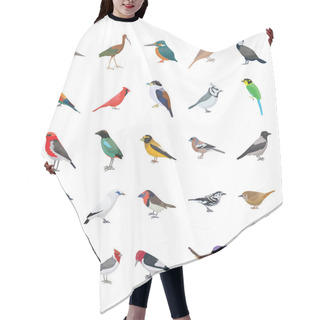 Personality  Birds Flat Vector Icons Collection  Hair Cutting Cape