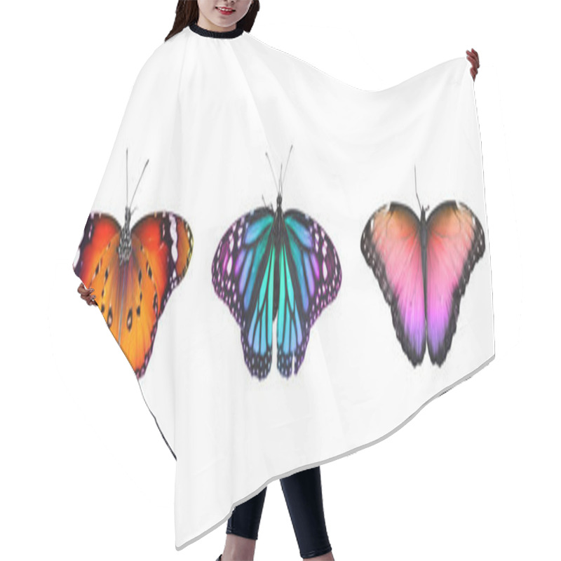 Personality  Collection Of Amazing Bright Butterflies Isolated On White. Banner Design Hair Cutting Cape