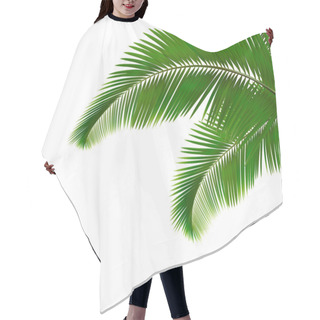 Personality  Palm Leaves On White Background Hair Cutting Cape