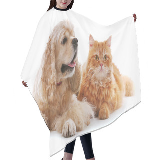 Personality  American Cocker Spaniel And Red Cat Hair Cutting Cape