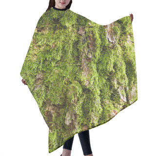 Personality  Tree Bark Covered With Green Moss Hair Cutting Cape
