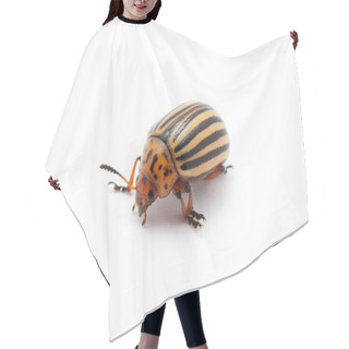 Personality  Colorado Beetle Hair Cutting Cape