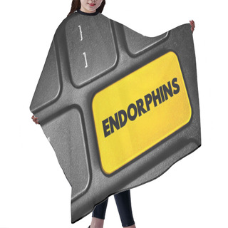Personality  Endorphins Are Chemicals (hormones) Your Body Releases When It Feels Pain Or Stress, Text Button On Keyboard, Concept Background Hair Cutting Cape
