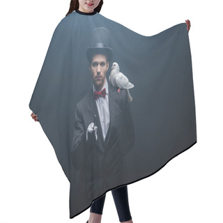 Personality  Dove Sitting On Shoulder Of Young Magician In Hat With Wand In Dark Room With Smoke  Hair Cutting Cape
