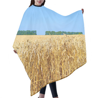 Personality  Grain Field In The Rural Landscape Hair Cutting Cape