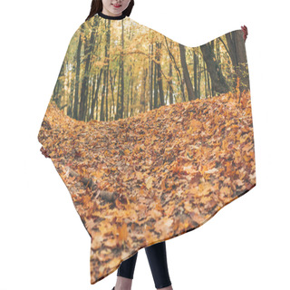 Personality  Selective Focus Of Autumn Forest With Fallen Leaves  Hair Cutting Cape