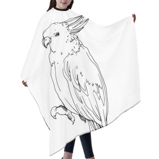 Personality  Vector Sky Bird Cockatoo In A Wildlife Isolated. Black And White Engraved Ink Art. Isolated Parrot Illustration Element. Hair Cutting Cape