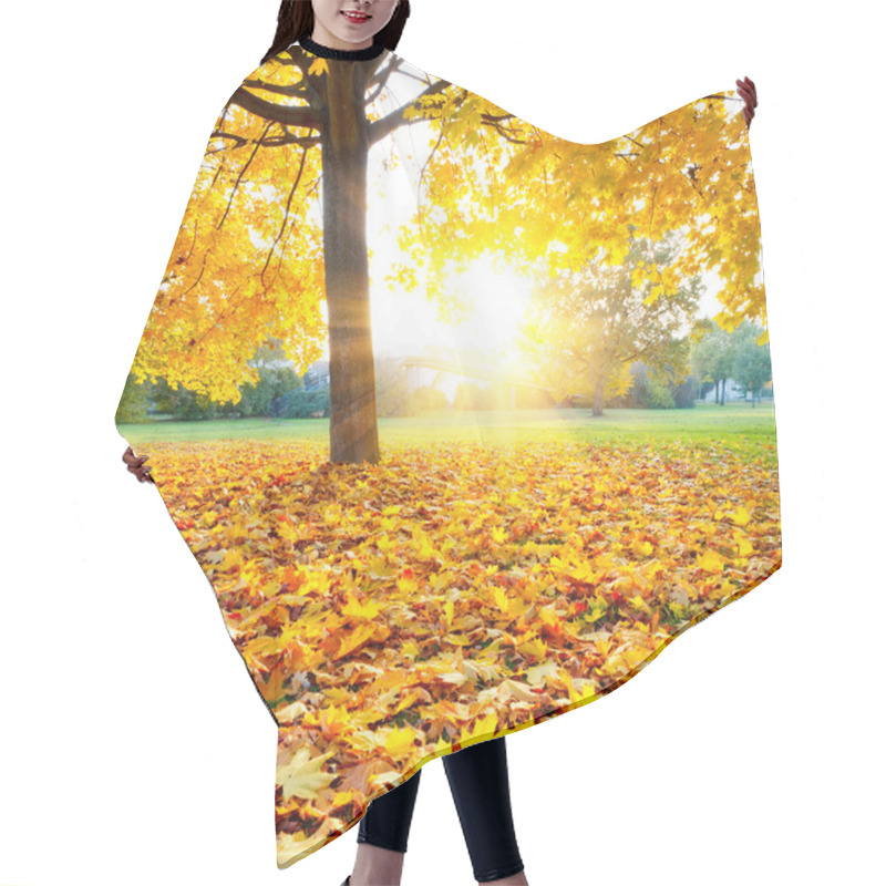 Personality  Colorful Autumn Hair Cutting Cape