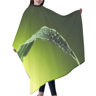 Personality  Plant Leaf With Water Drops Hair Cutting Cape