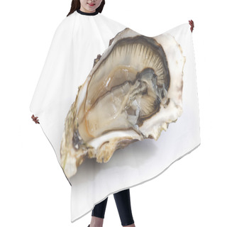 Personality  Oyster On White Hair Cutting Cape