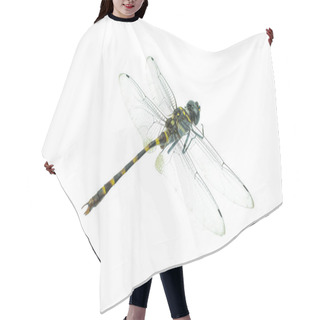 Personality  Black Dragonfly Isolated On A White Background Hair Cutting Cape