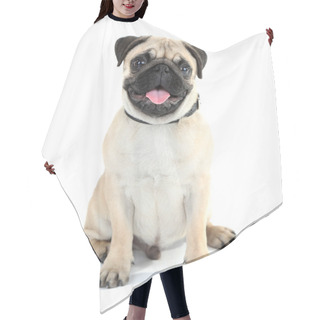 Personality  Funny, Cute And Playful Pug Hair Cutting Cape