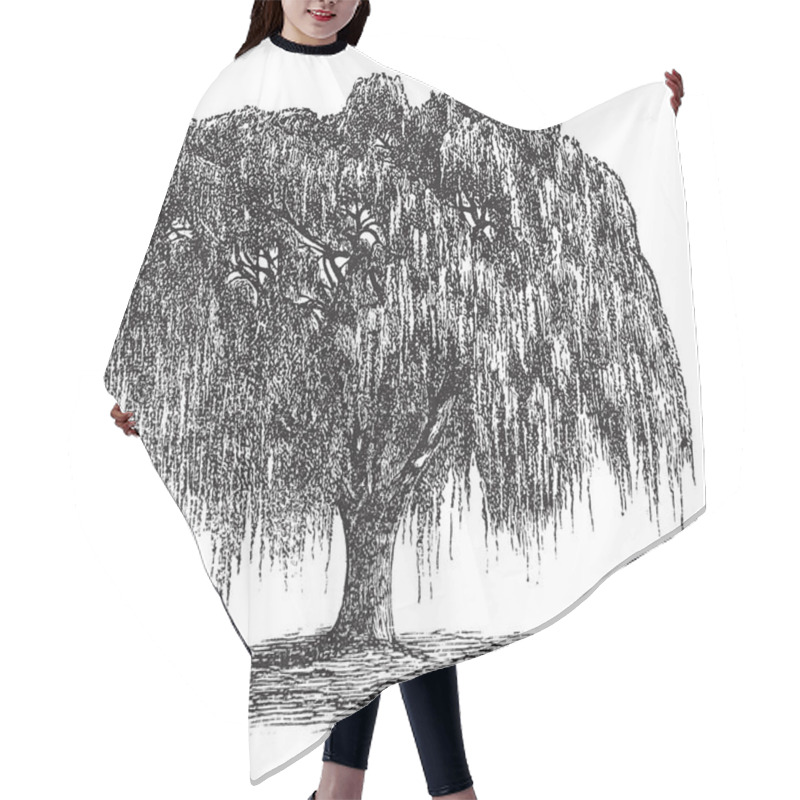 Personality  Babylon Willow Or Salix Babylonica Vintage Engraving Hair Cutting Cape