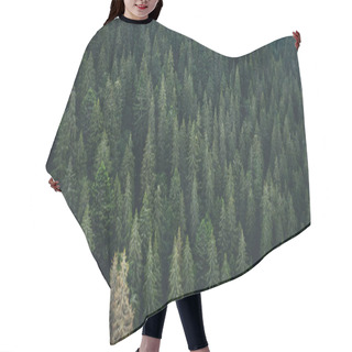 Personality  Panoramic View Of Evergreen Pine Wood From Drone Hair Cutting Cape