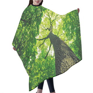 Personality  Forest Hair Cutting Cape