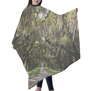 Personality  Live Oaks Hair Cutting Cape