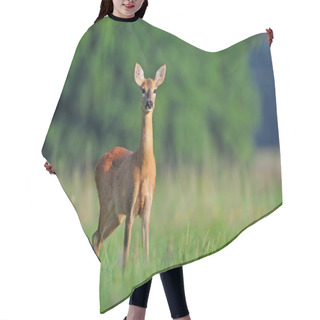 Personality  Roe Deer Hair Cutting Cape