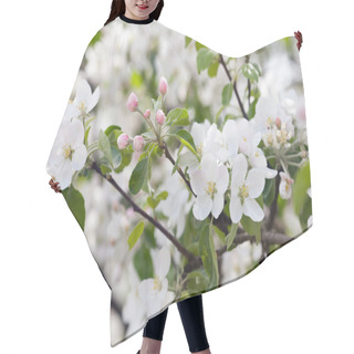 Personality  A Branch Of Blooming Apple Tree Hair Cutting Cape
