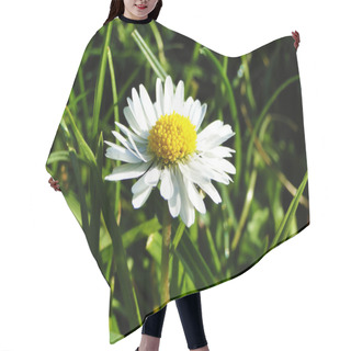Personality  Daisy - Margerite Hair Cutting Cape