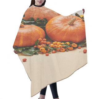 Personality  Autumnal Decoration With Pumpkins And Firethorn Berries On Table Hair Cutting Cape