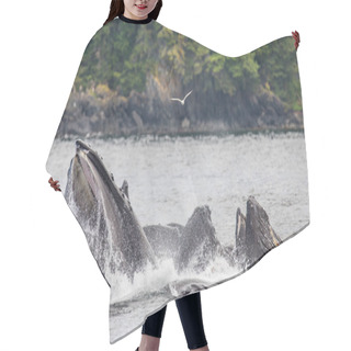 Personality  Humpback Whales Above Water Surface Hair Cutting Cape