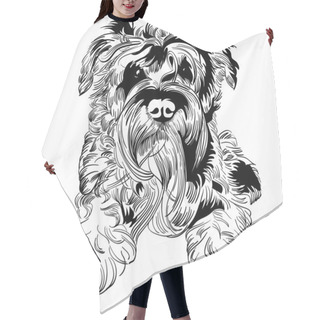 Personality  Vector Sketch Dog Schnauzer Breed Hand Drawing Vector Hair Cutting Cape