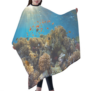 Personality  Coral Reef Hair Cutting Cape