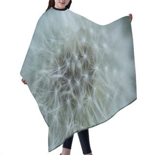 Personality  Close Up View Of Tender Dandelion Background Hair Cutting Cape