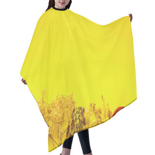 Personality  Wild And Healing Herbs For Clean Eating Biohackers Paleo Diet On Yellow Background. Flat Lay, Top View. Hair Cutting Cape