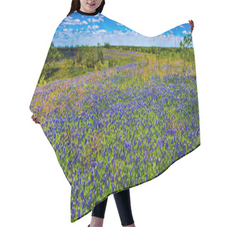 Personality  A Wide Angle View Of A Beautiful Field Of Texas Wildflowers. Hair Cutting Cape