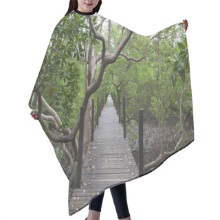 Personality  The Mangrove Forest  Hair Cutting Cape