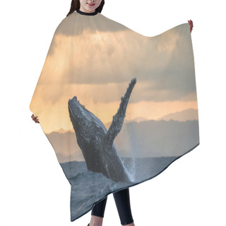 Personality  Humpback Whale Jumping Out Of The Water Hair Cutting Cape