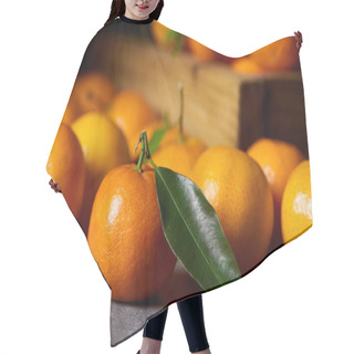 Personality  Selective Focus Of Organic Clementine Near Tangerines With Green Leaves Hair Cutting Cape